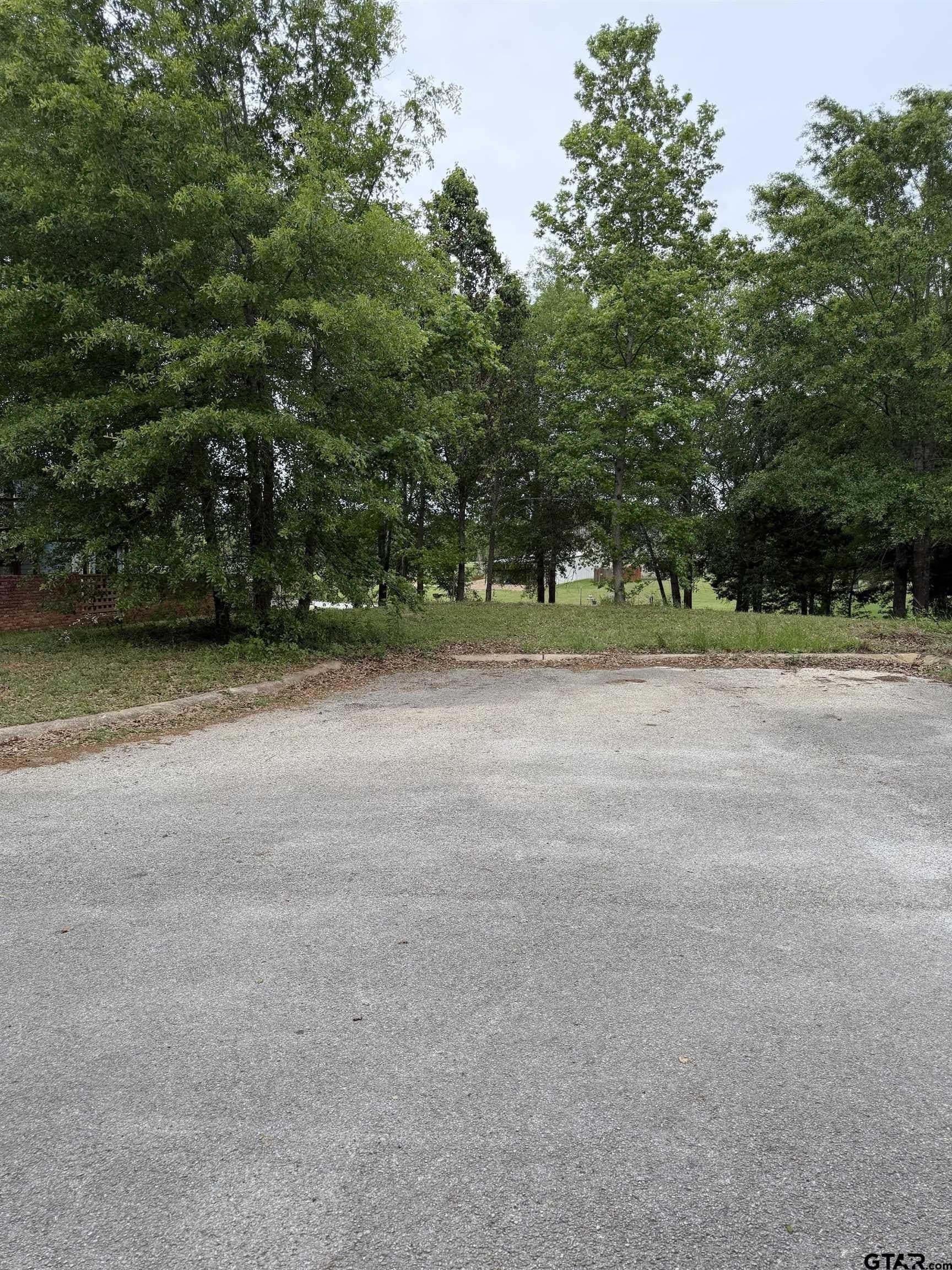 0.8 acres in Smith County - photo 8