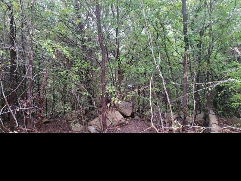 0.63 acres in Ellis County - photo 2