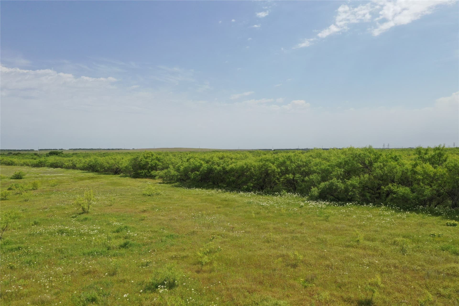 31.8 acres in Clay County - photo 8