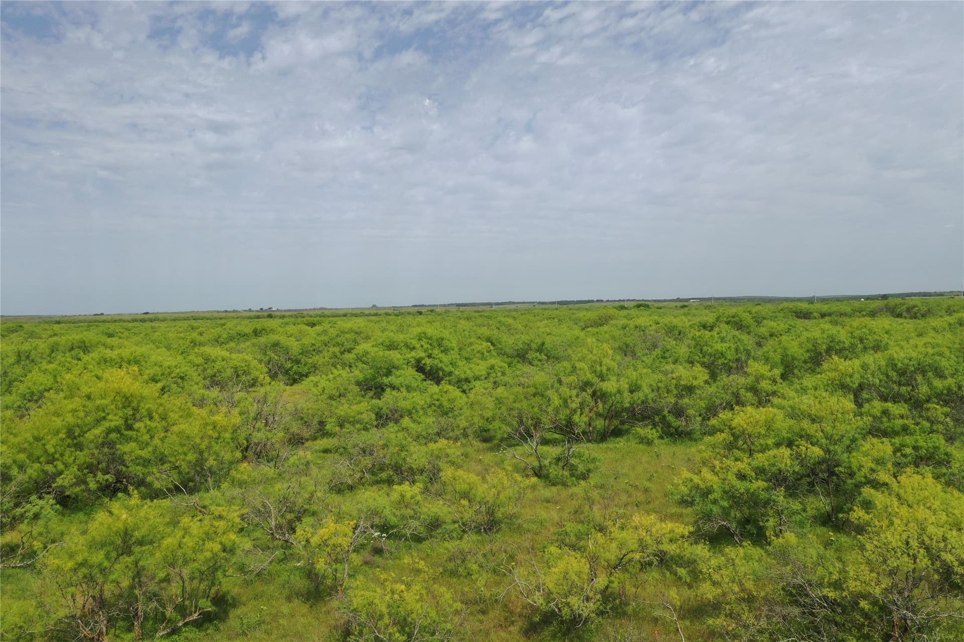 31.8 acres in Clay County - photo 3