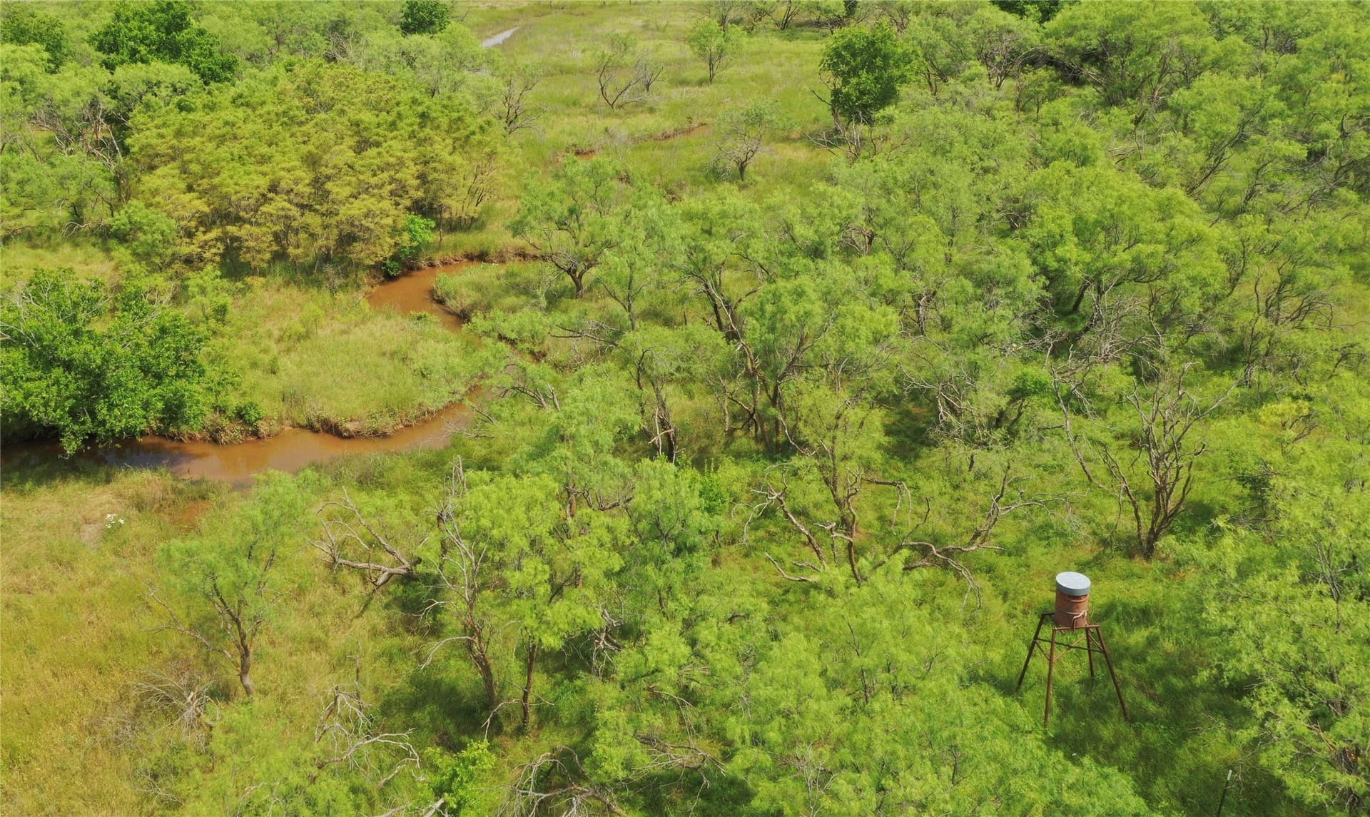 31.8 acres in Clay County