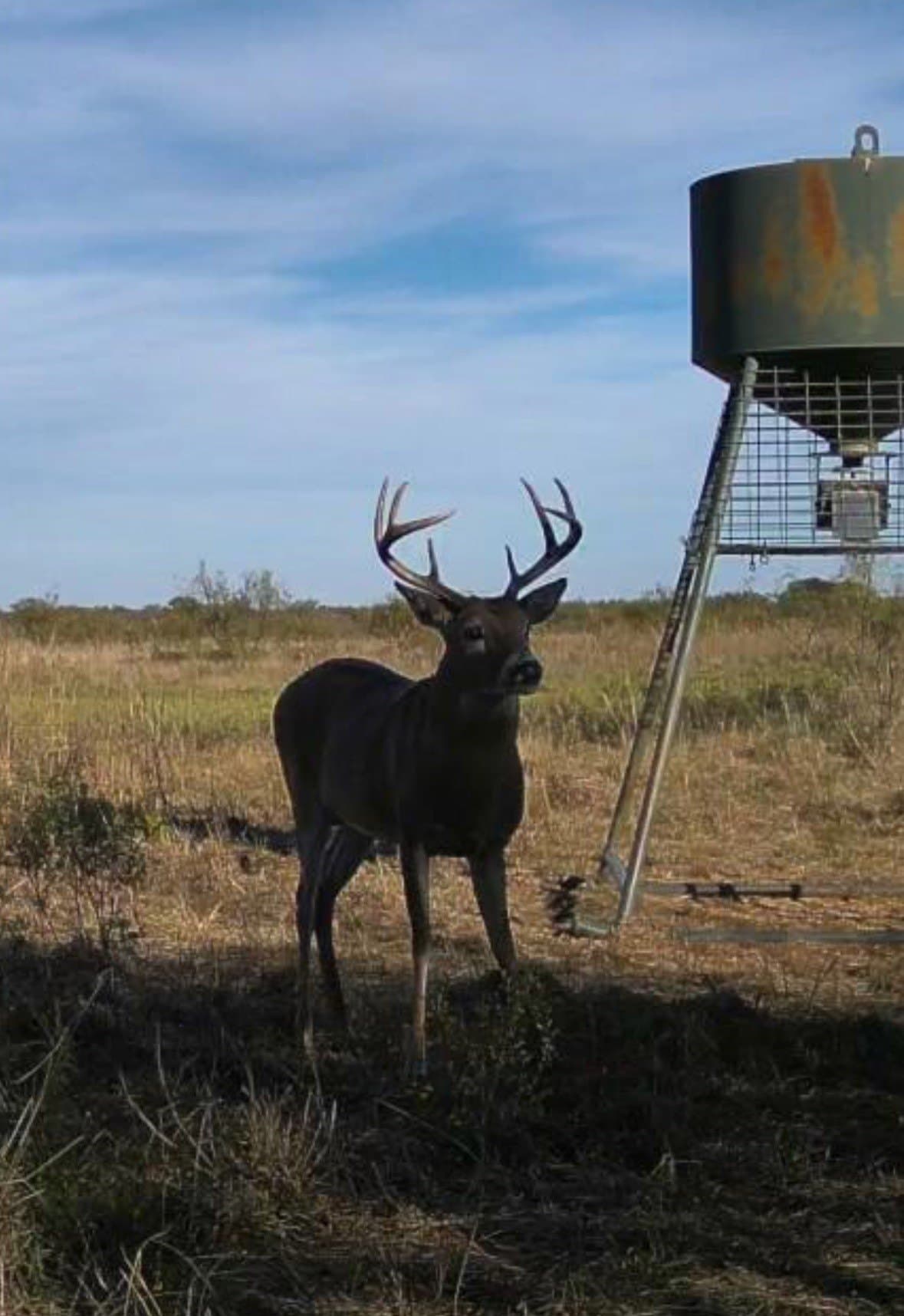 31.8 acres in Clay County - photo 9