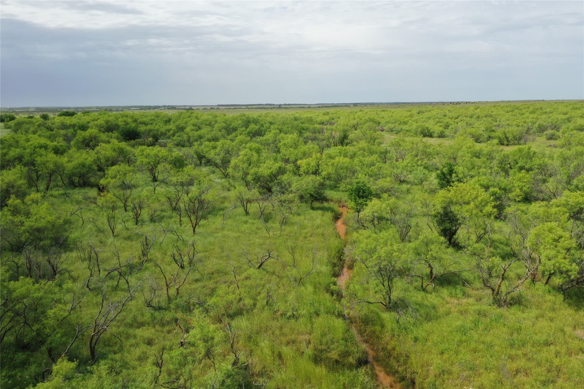 31.8 acres in Clay County - photo 6