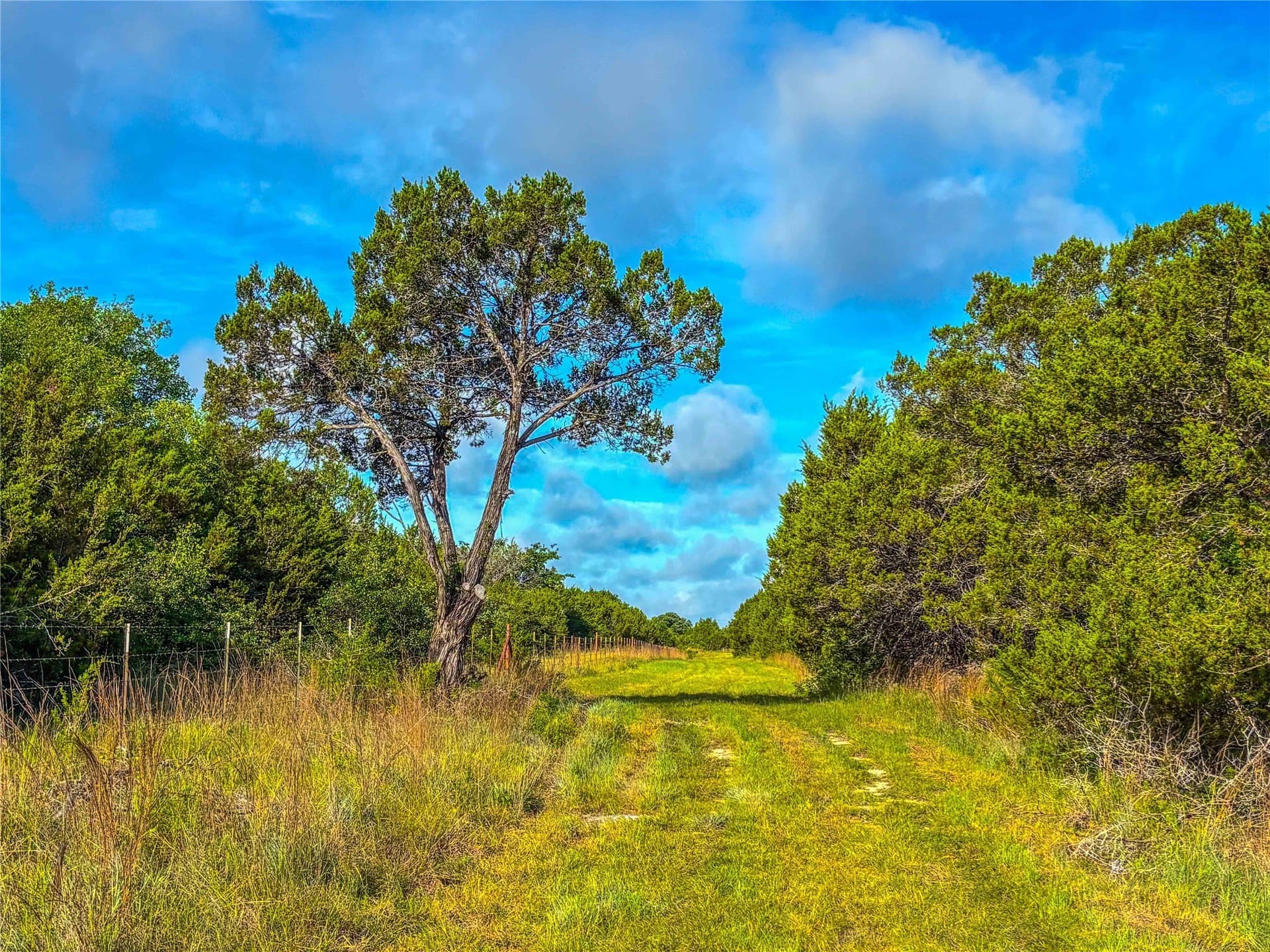 66 acres in Bosque County - photo 17