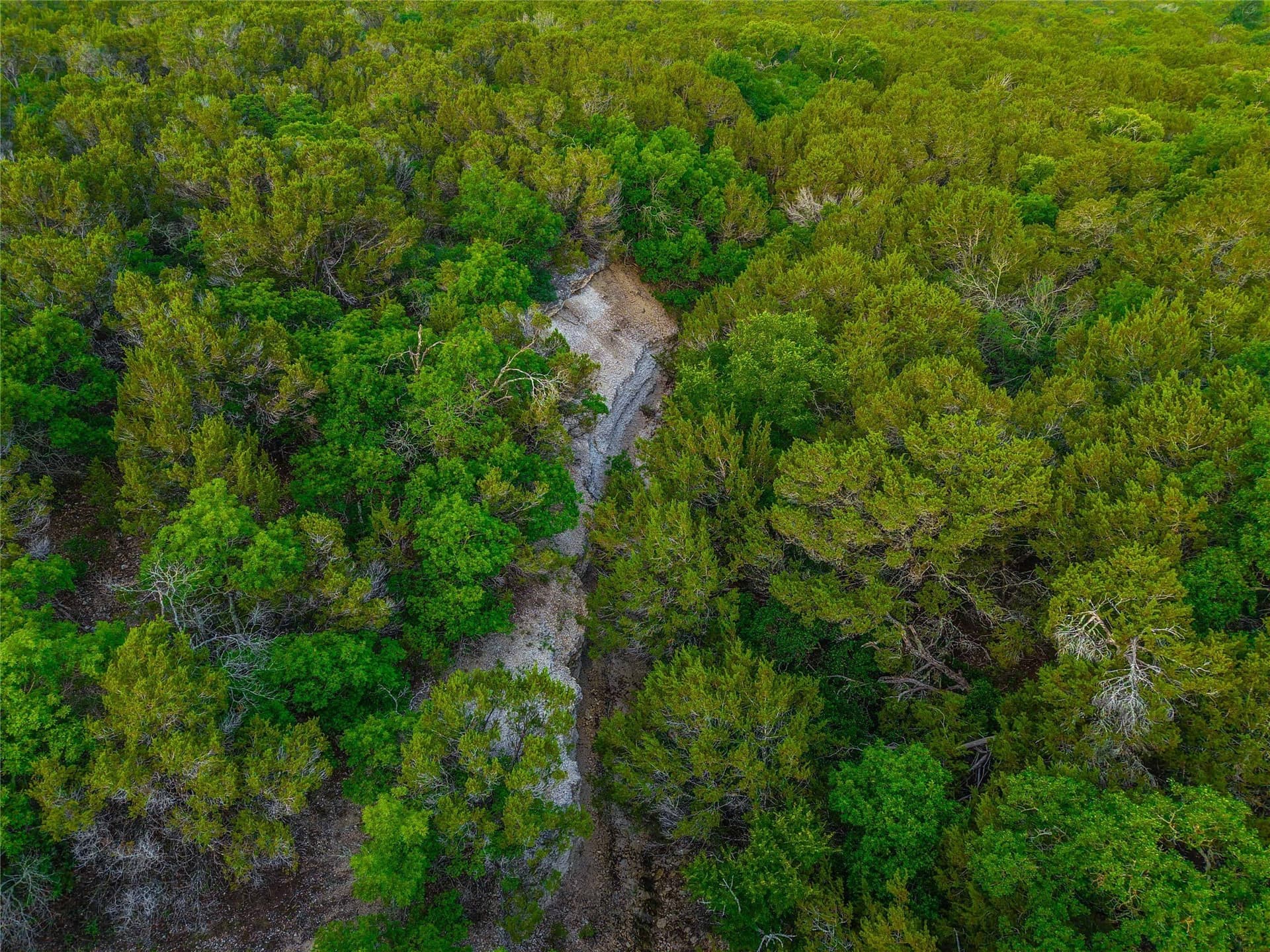 66 acres in Bosque County - photo 28