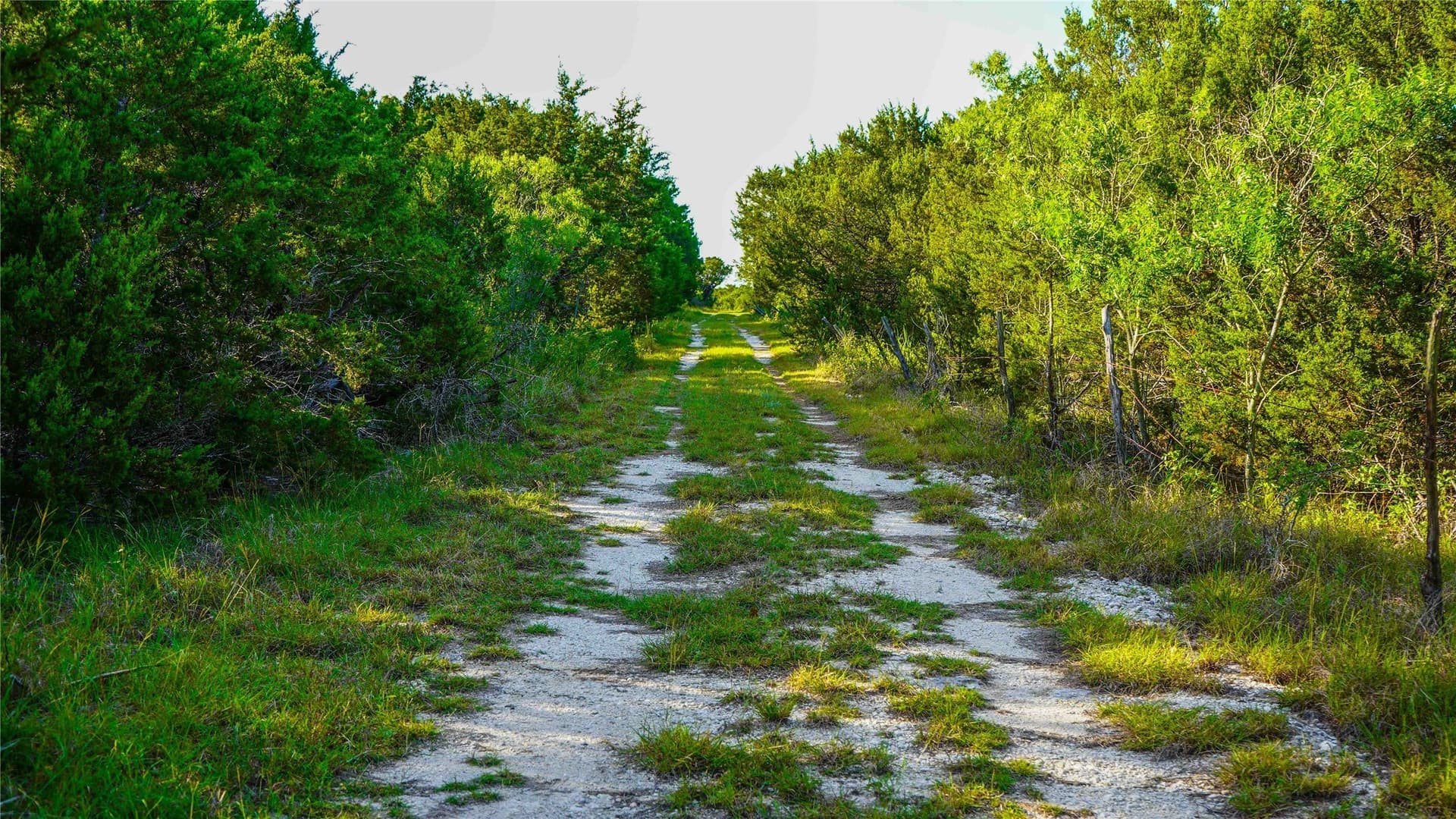 66 acres in Bosque County - photo 15