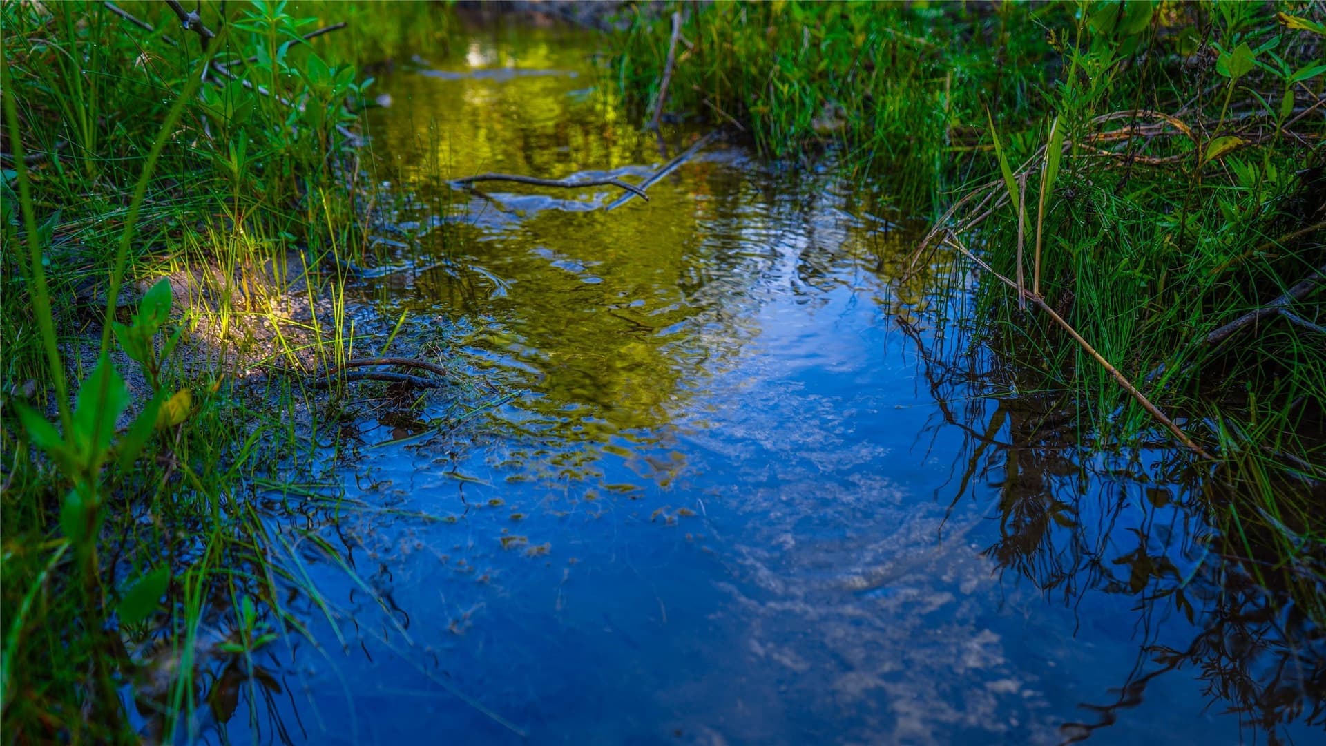 66 acres in Bosque County - photo 25