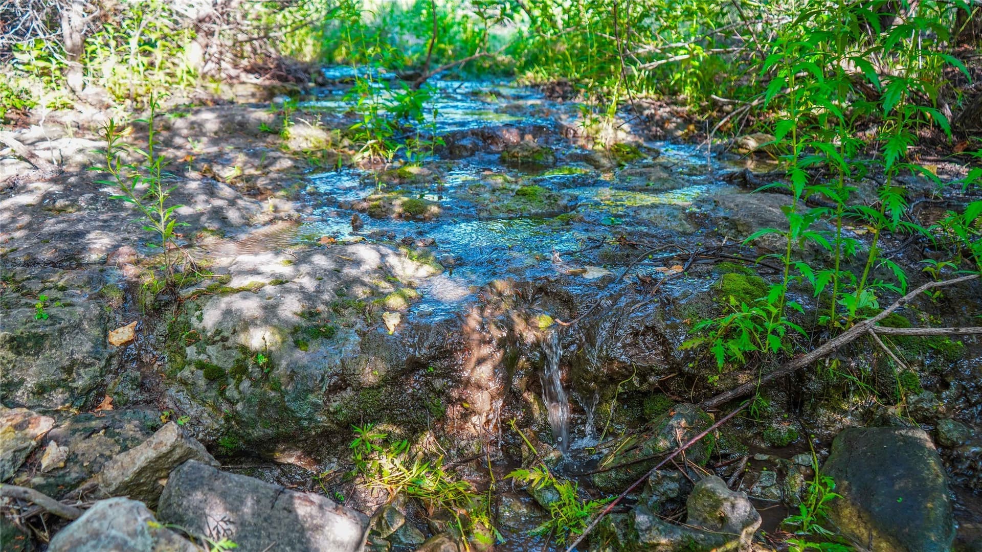 66 acres in Bosque County - photo 6