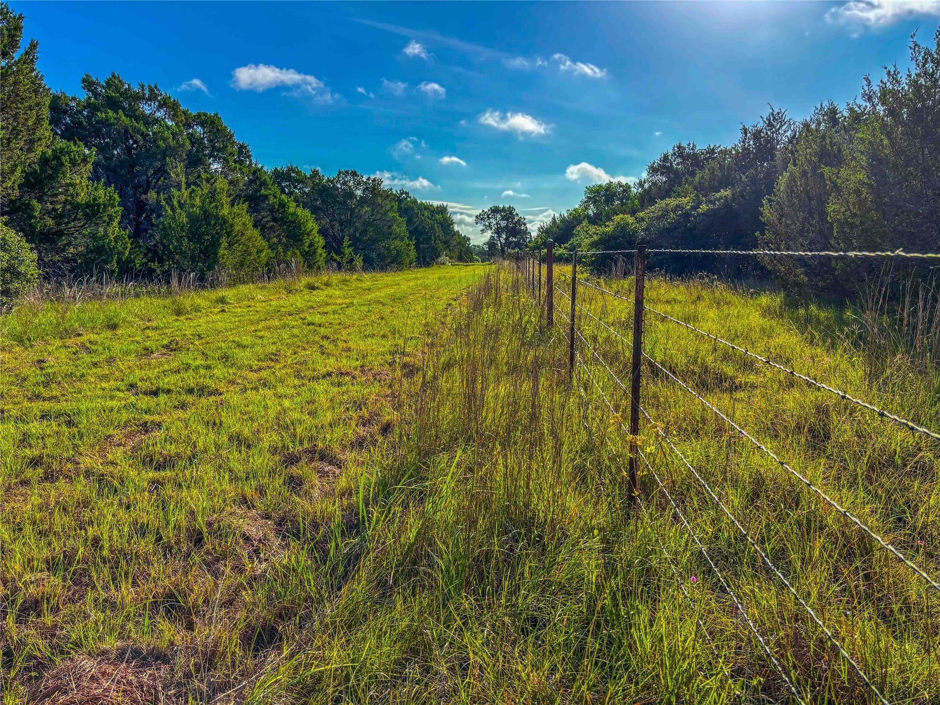 66 acres in Bosque County - photo 19