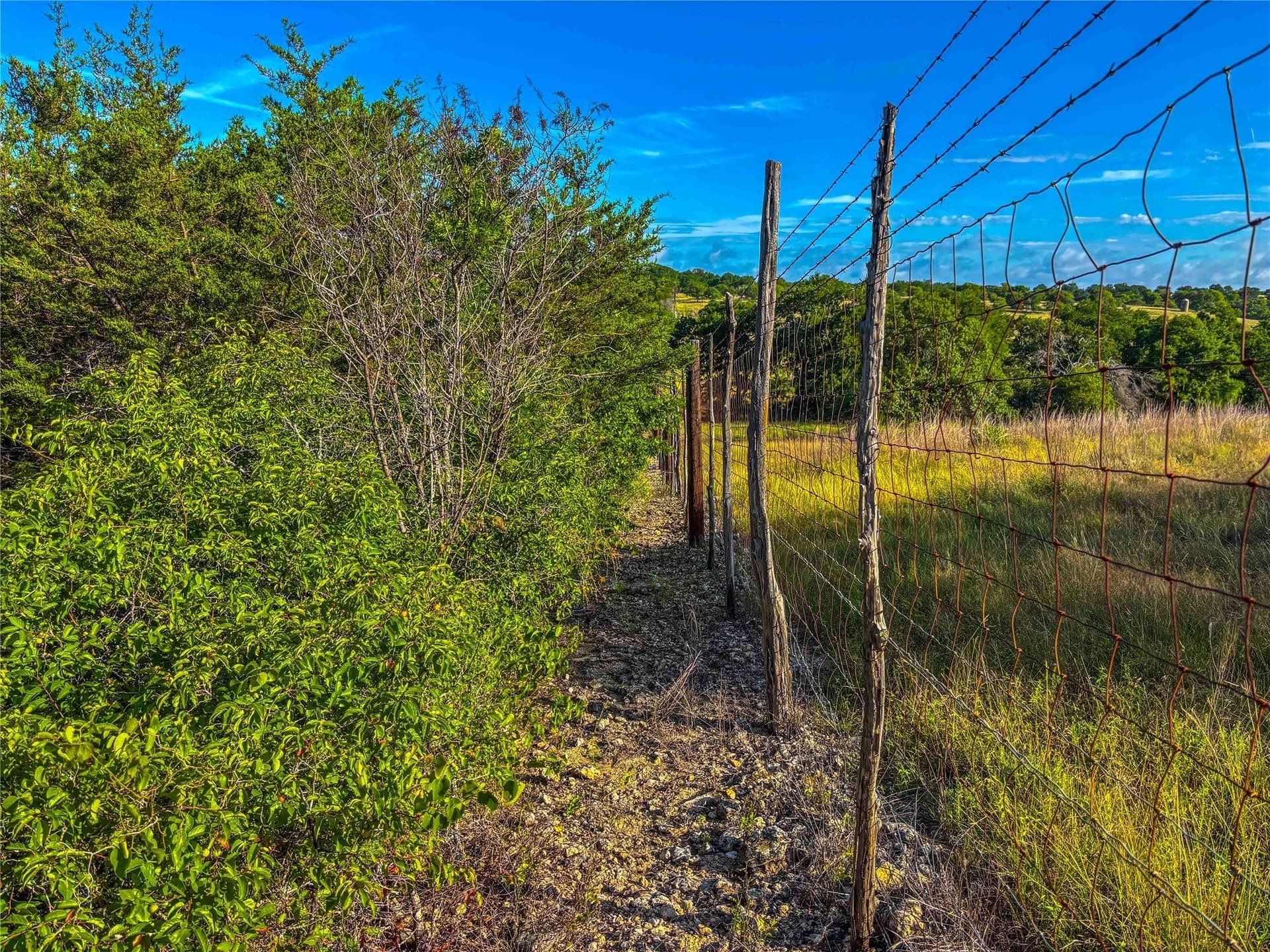 66 acres in Bosque County - photo 16