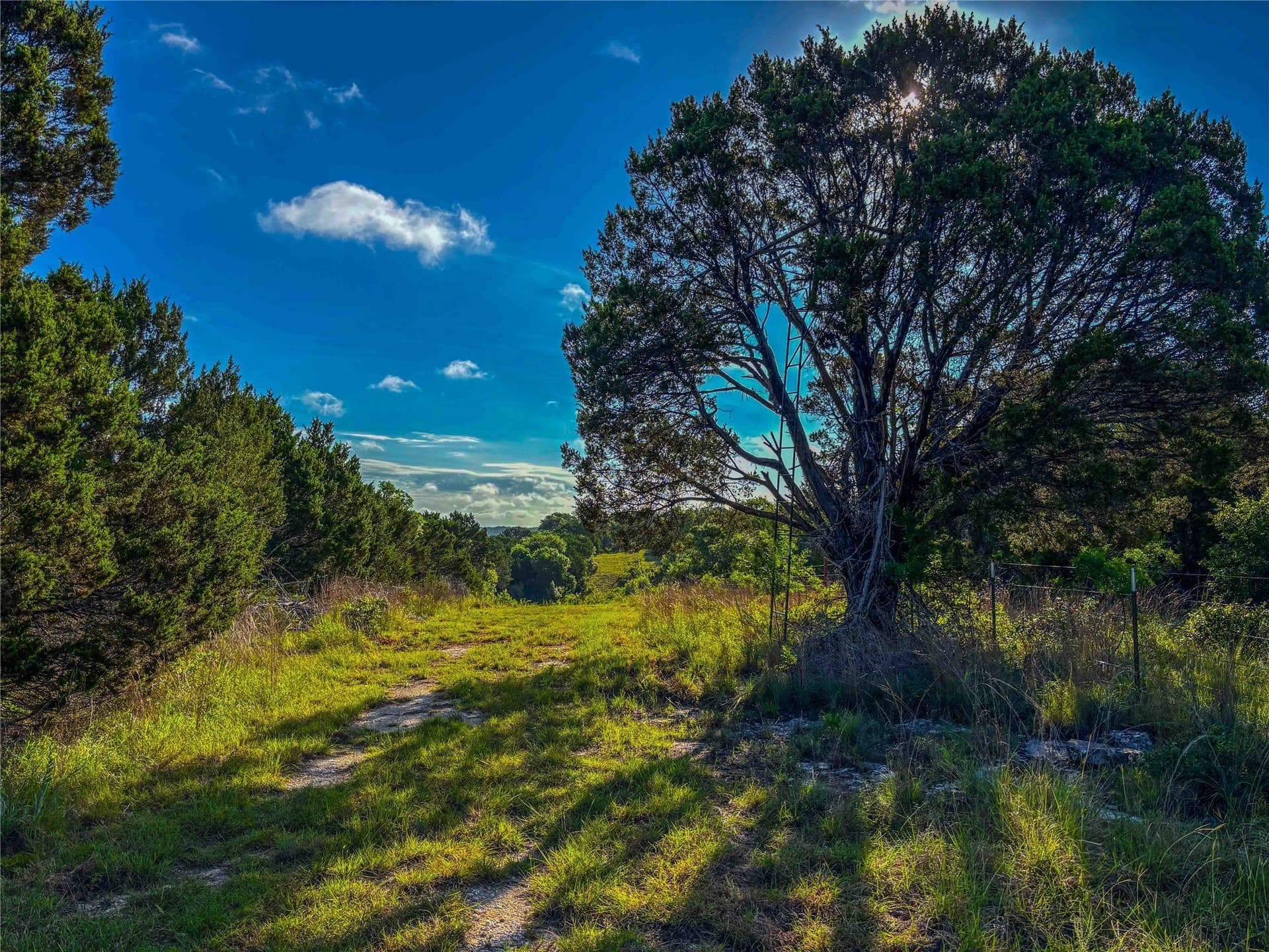 66 acres in Bosque County - photo 20