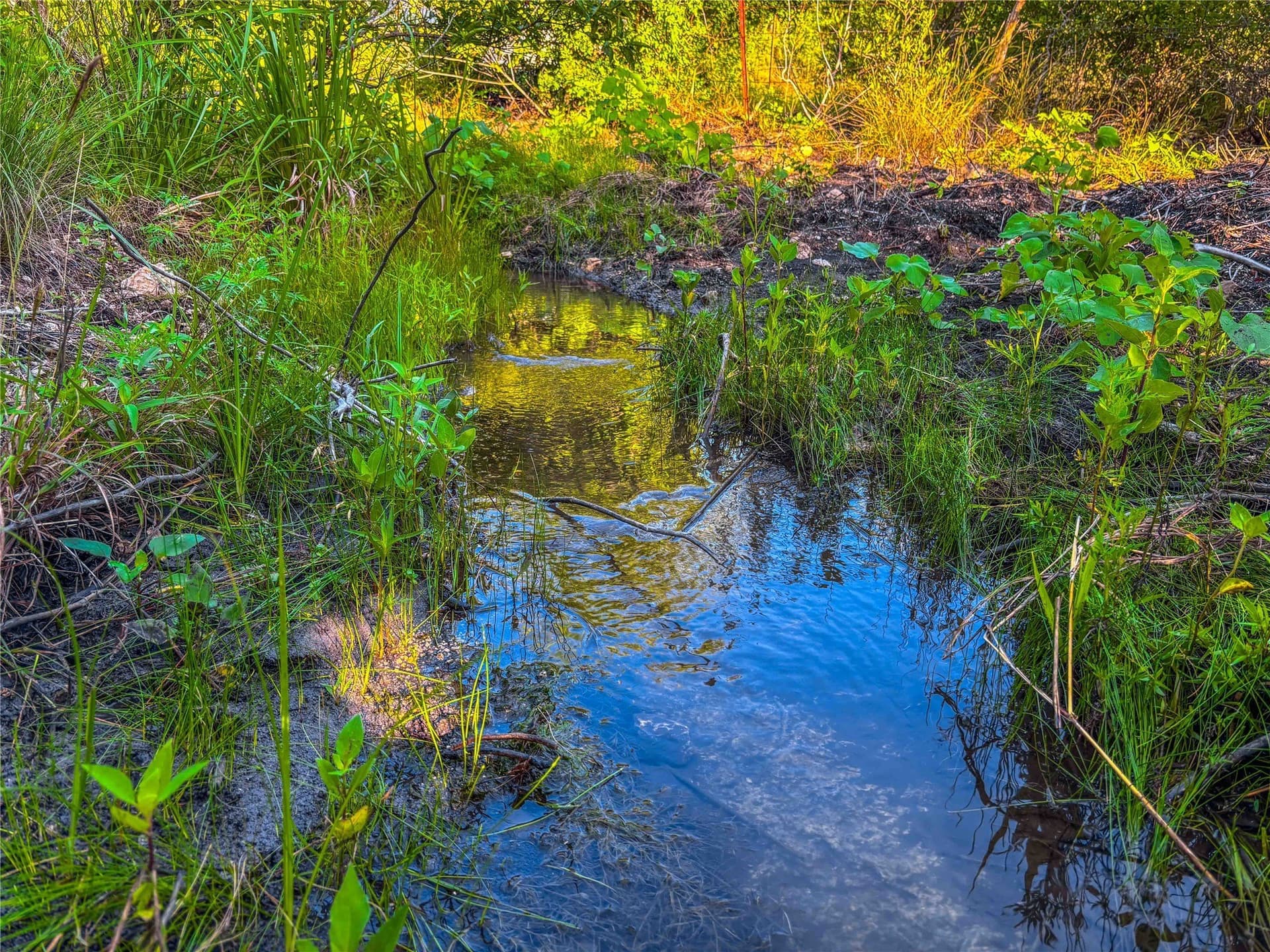 66 acres in Bosque County - photo 21