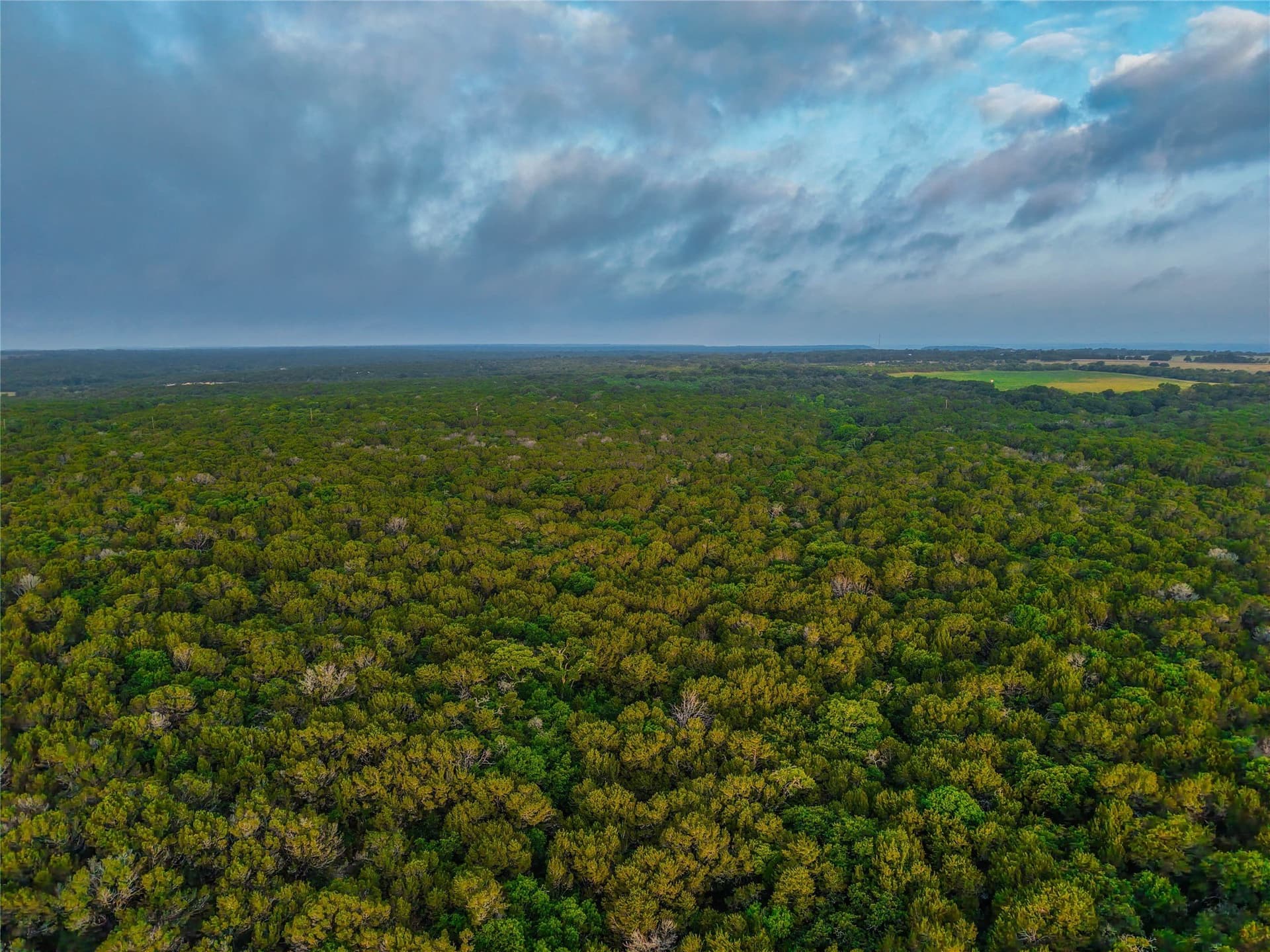 66 acres in Bosque County - photo 36