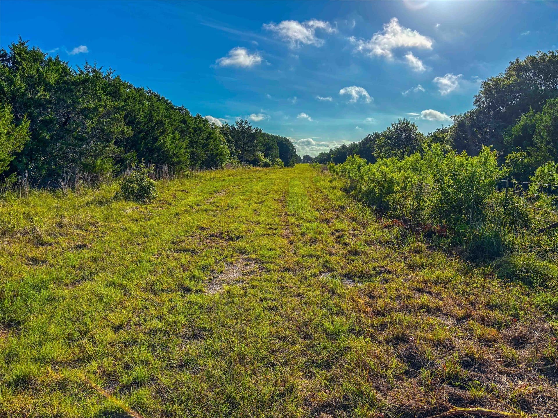 66 acres in Bosque County - photo 18