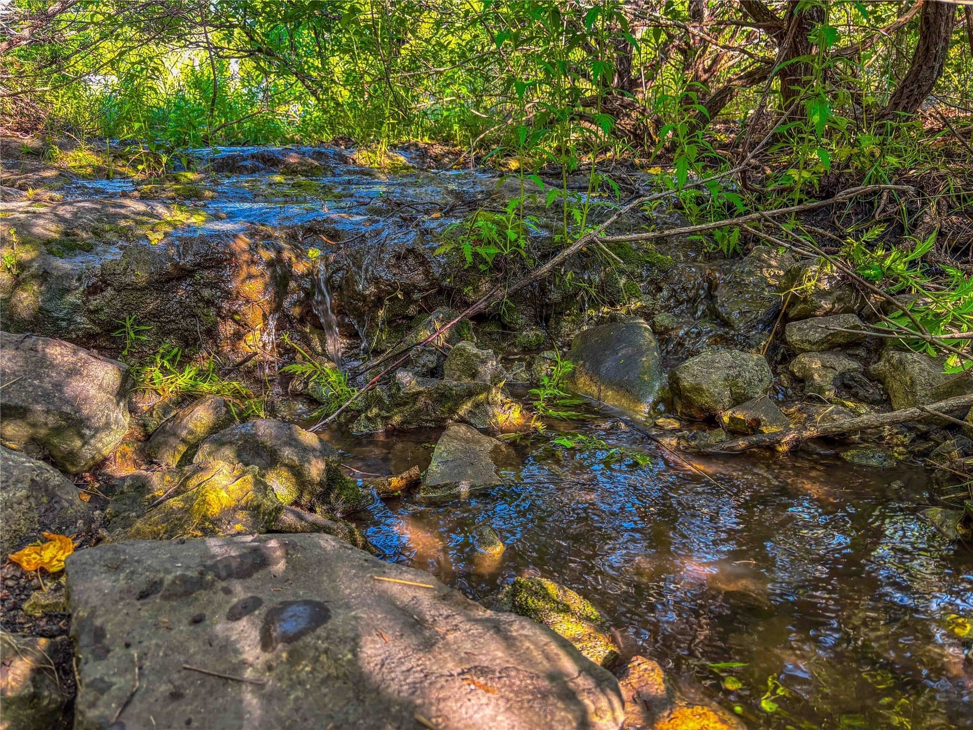 66 acres in Bosque County - photo 22