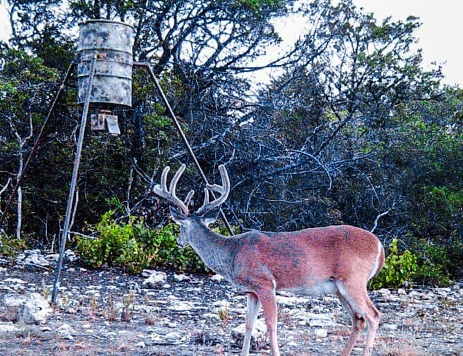 66 acres in Bosque County - photo 7