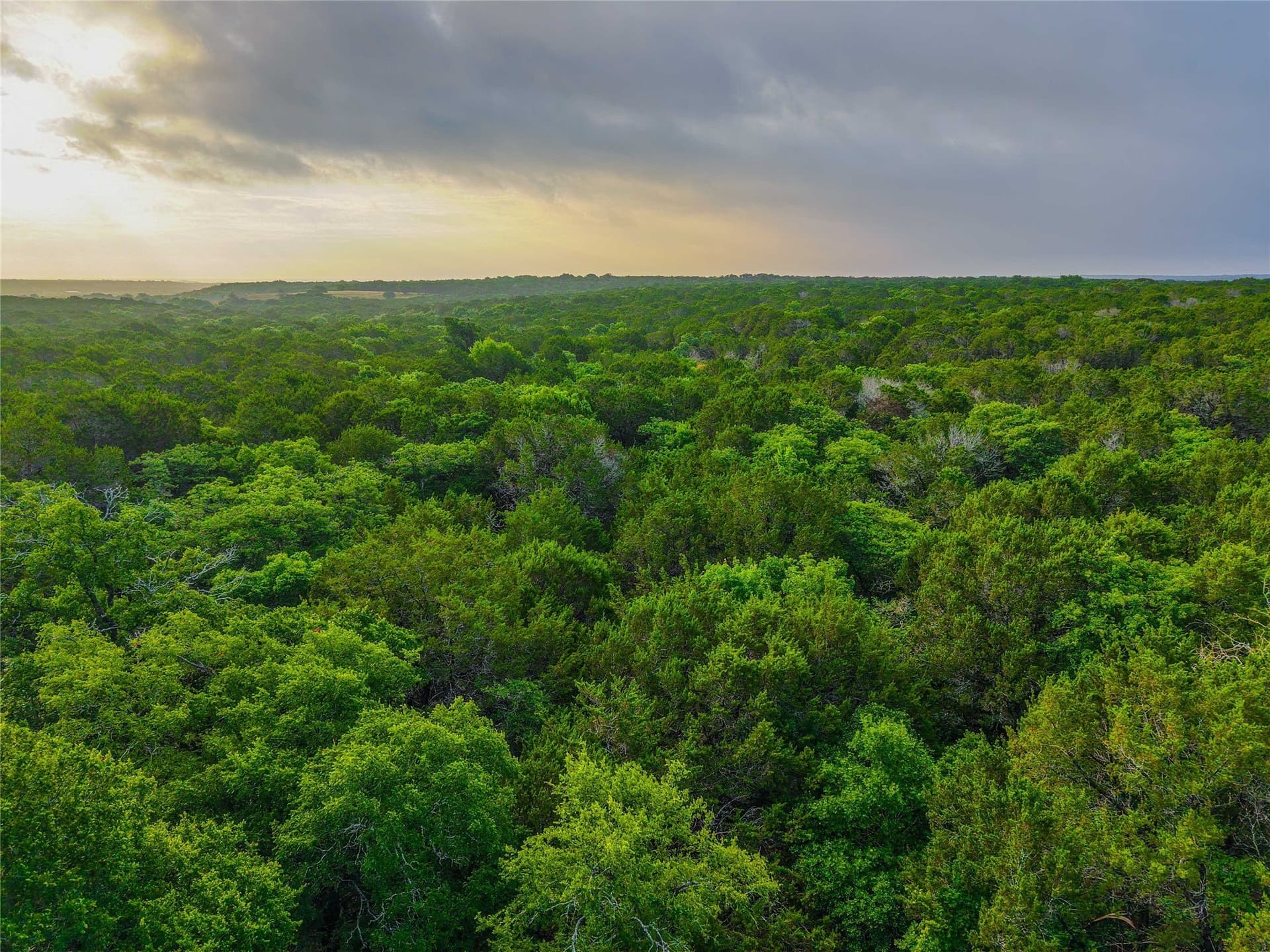 66 acres in Bosque County - photo 30