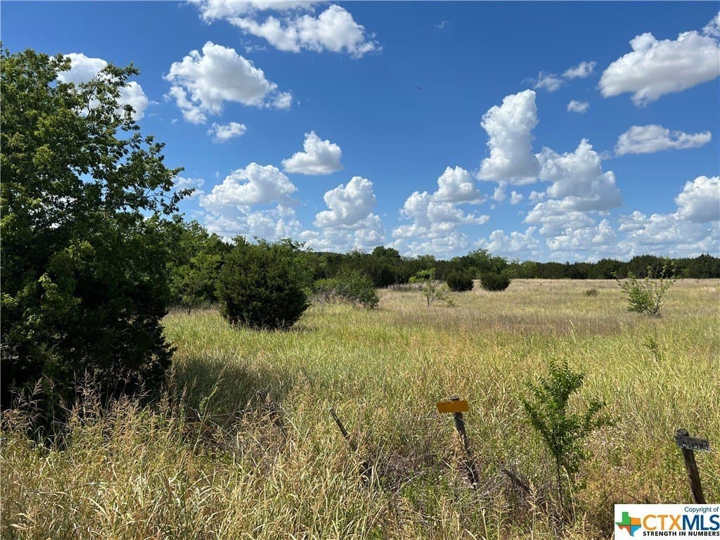 19.57 acres in Bell County gallery image 2