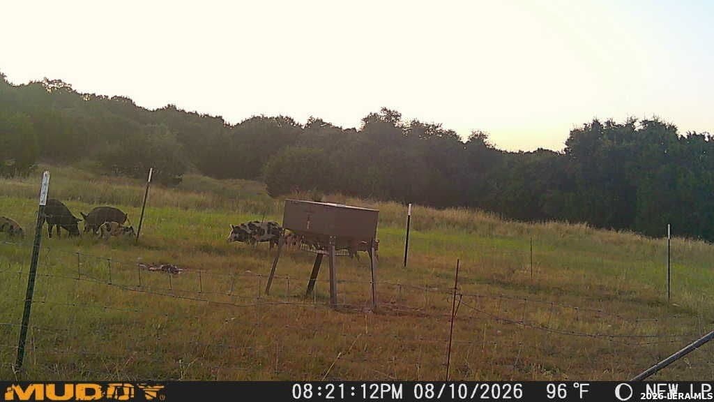 52 acres in Kimble County - photo 25