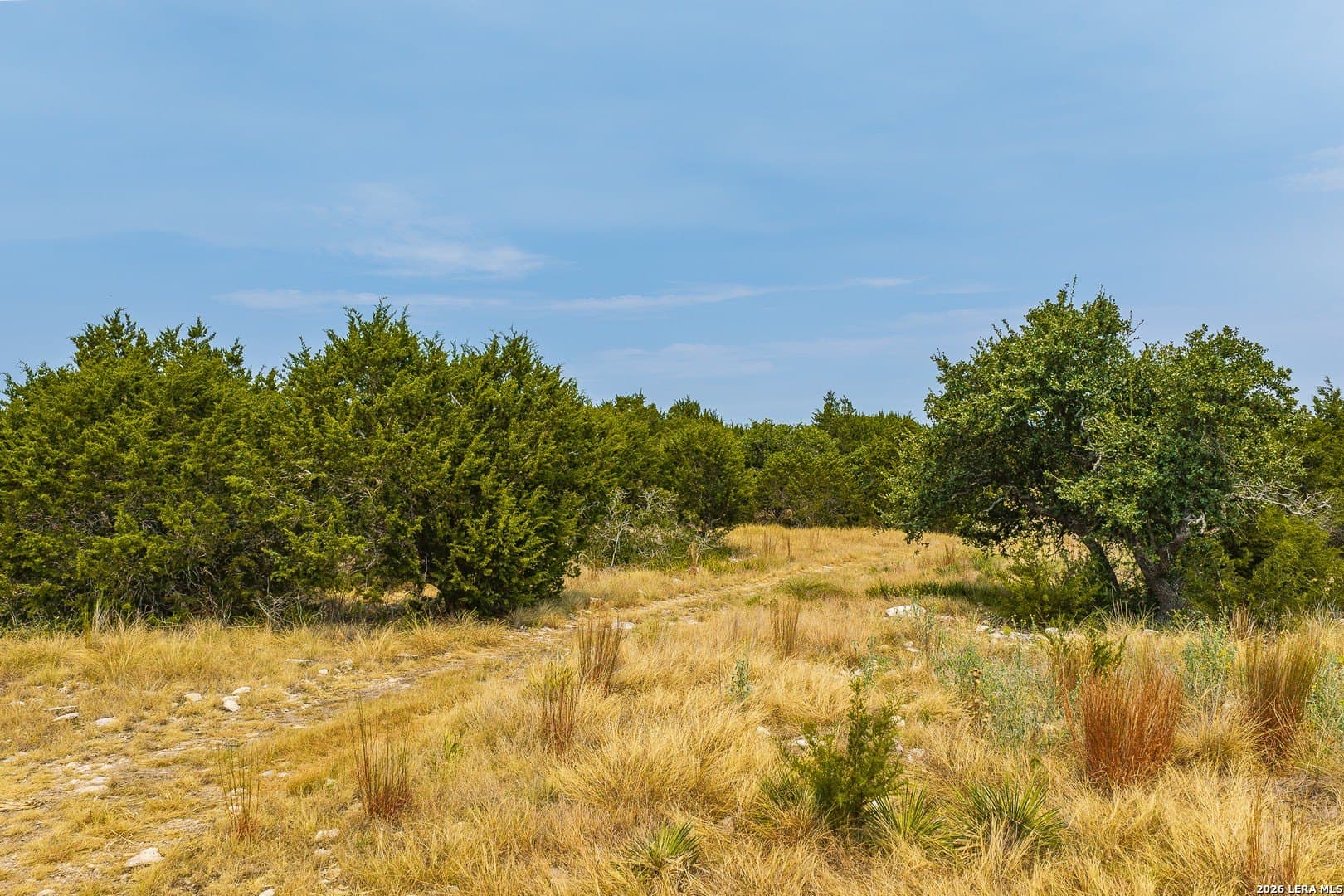 52 acres in Kimble County - photo 14