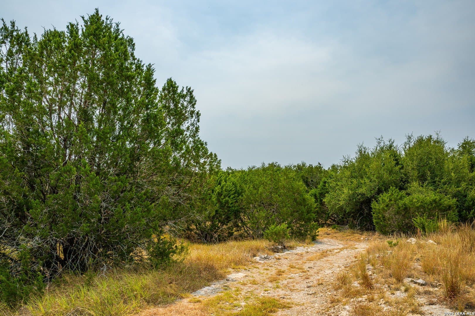 52 acres in Kimble County - photo 21