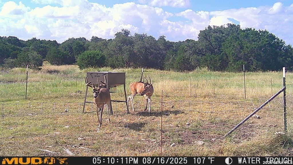 52 acres in Kimble County - photo 6