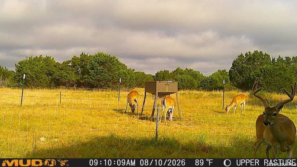 52 acres in Kimble County - photo 24
