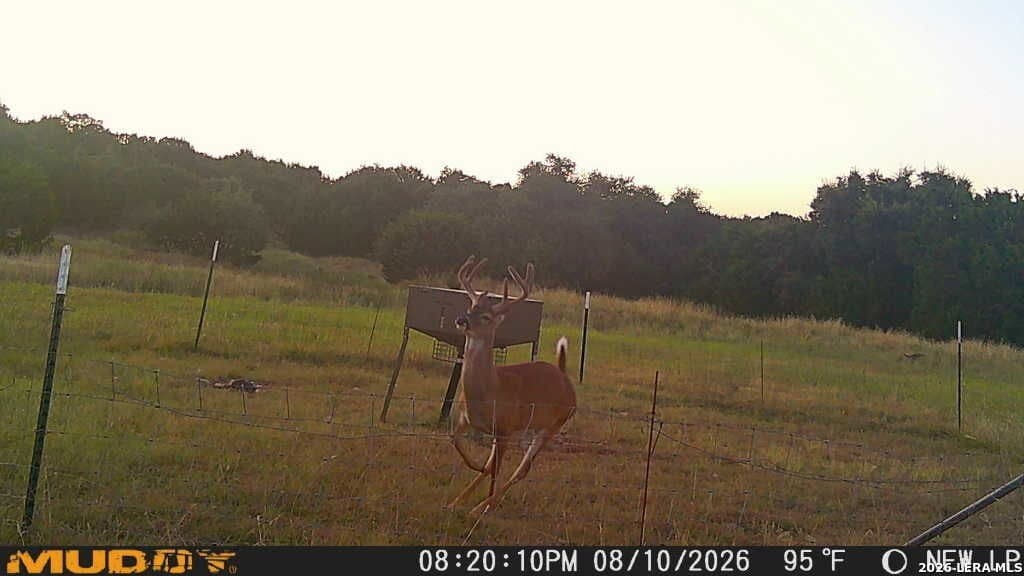 52 acres in Kimble County - photo 26