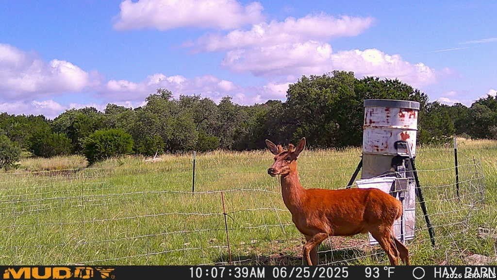 52 acres in Kimble County - photo 4
