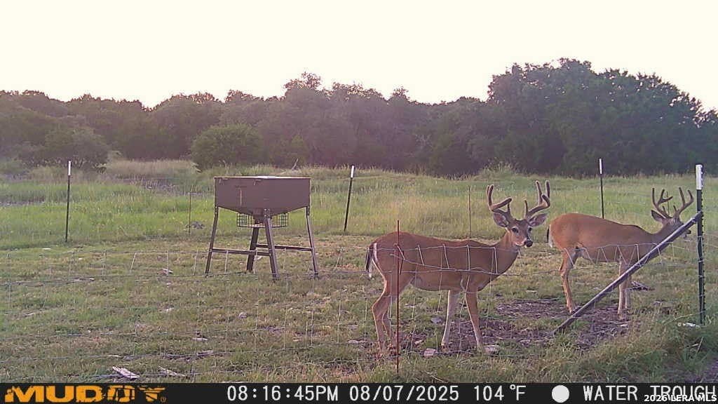 52 acres in Kimble County - photo 5