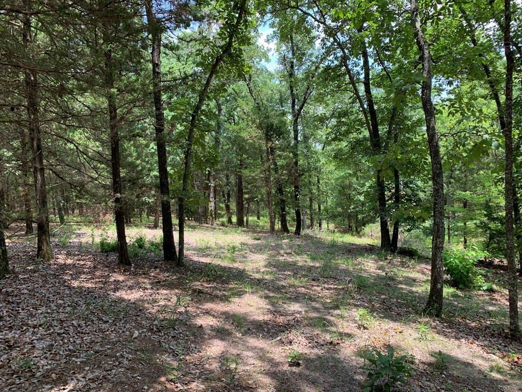 148.7 acres in Henderson County - photo 7