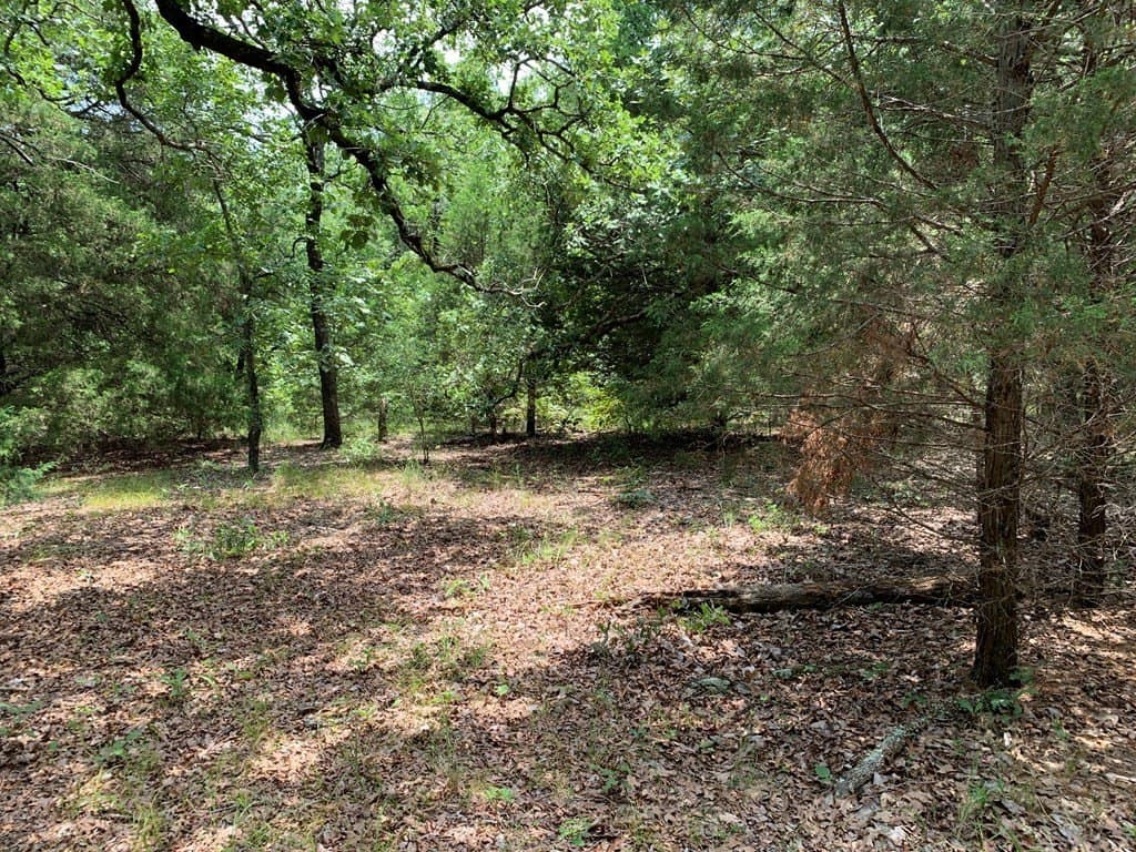 148.7 acres in Henderson County - photo 16