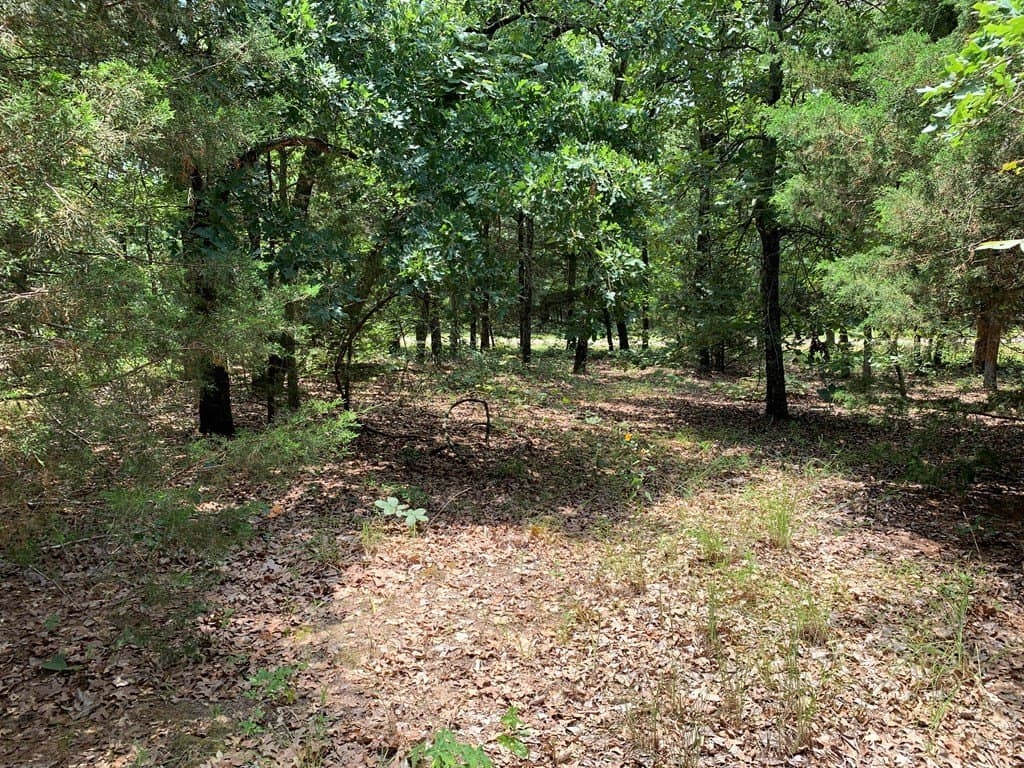 148.7 acres in Henderson County - photo 17
