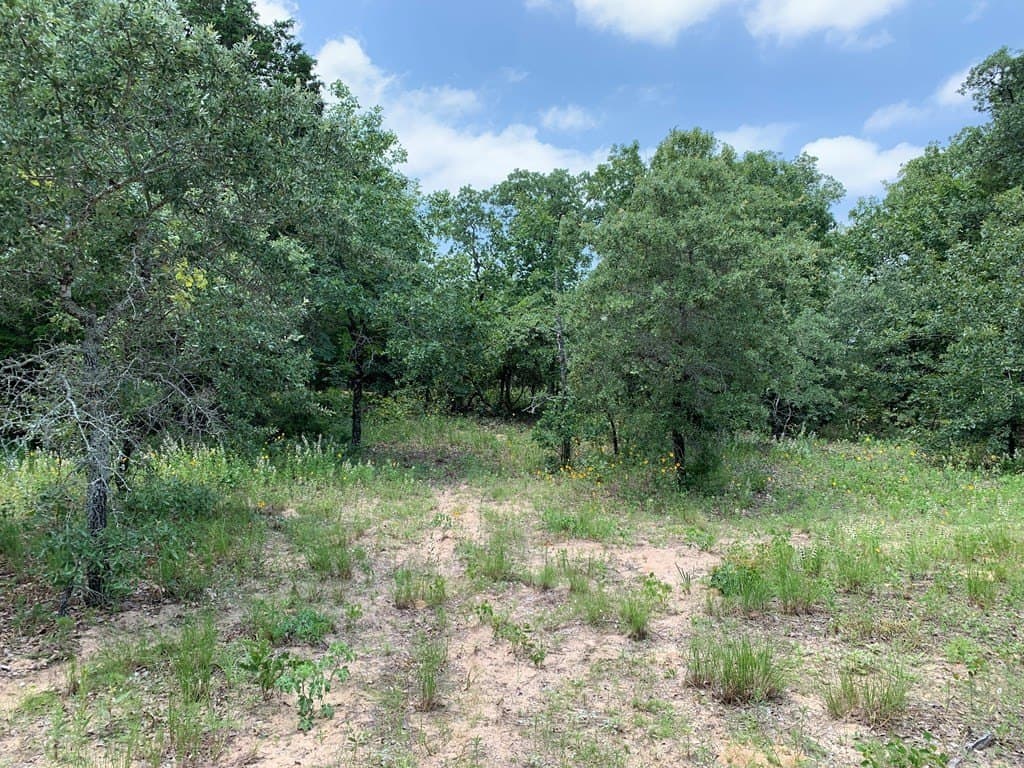 148.7 acres in Henderson County - photo 14