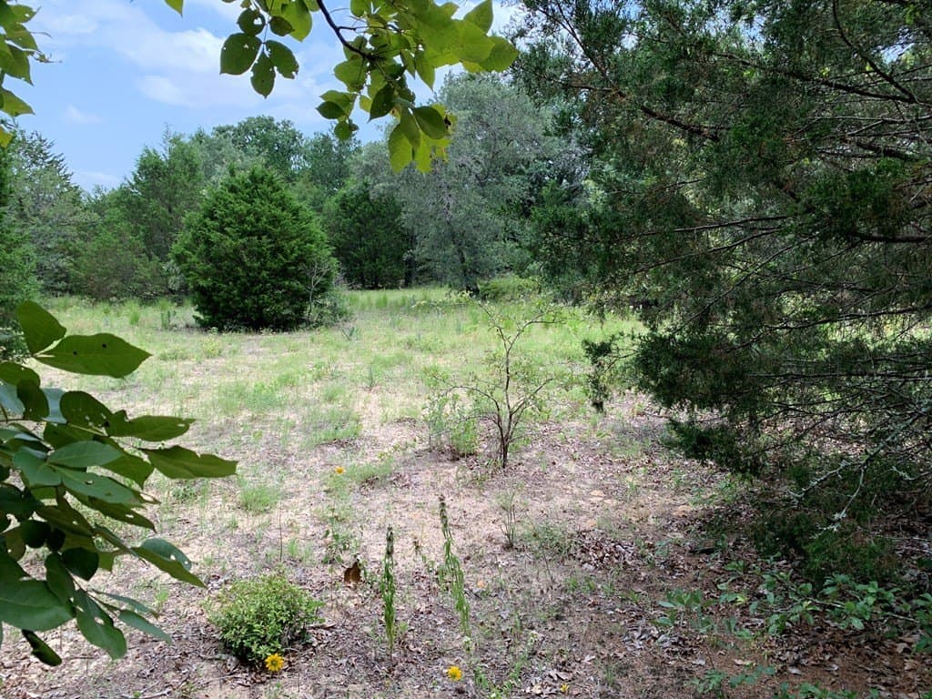 148.7 acres in Henderson County - photo 11