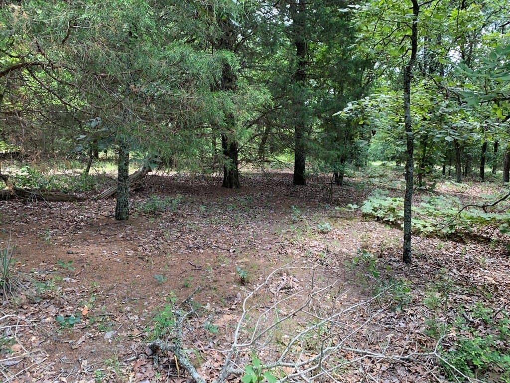 148.7 acres in Henderson County - photo 15