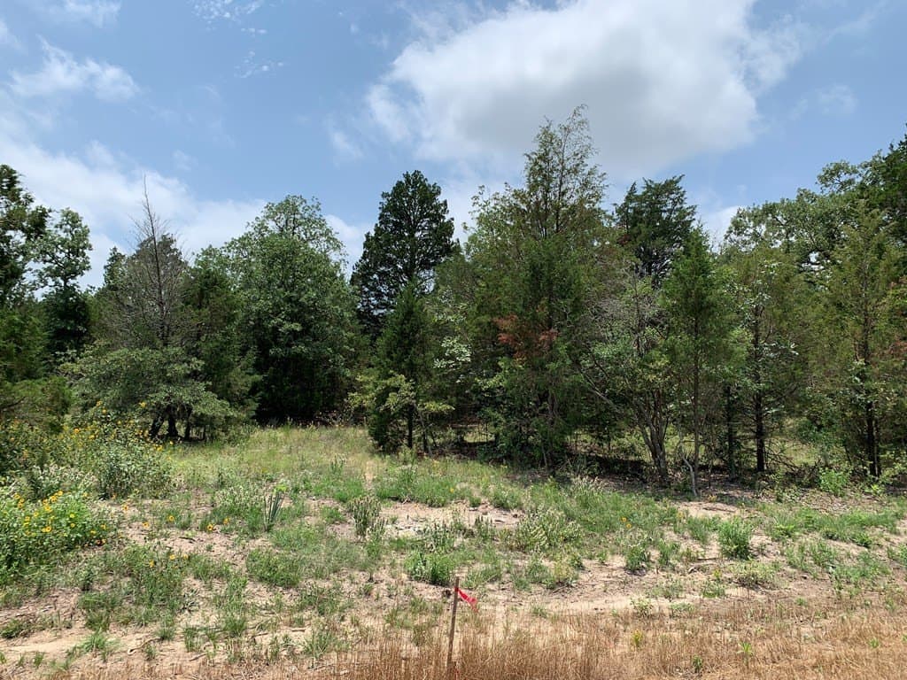 148.7 acres in Henderson County - photo 10