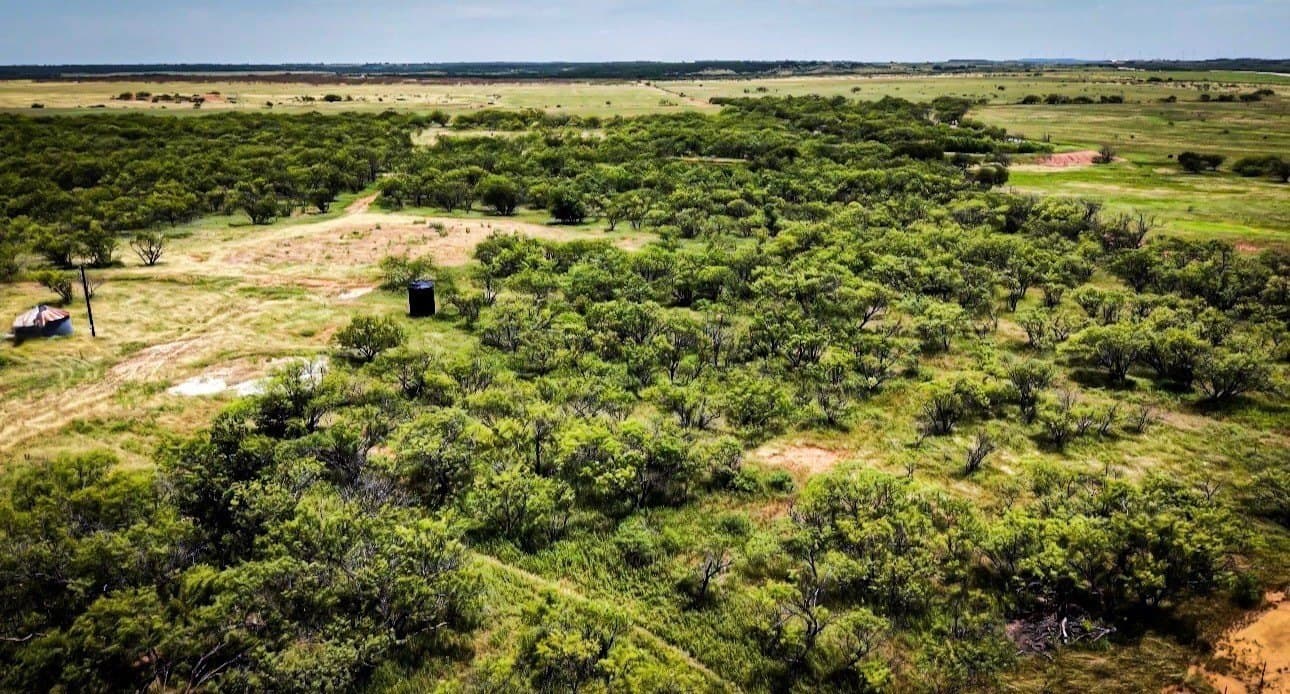 17 acres in Young County - photo 2