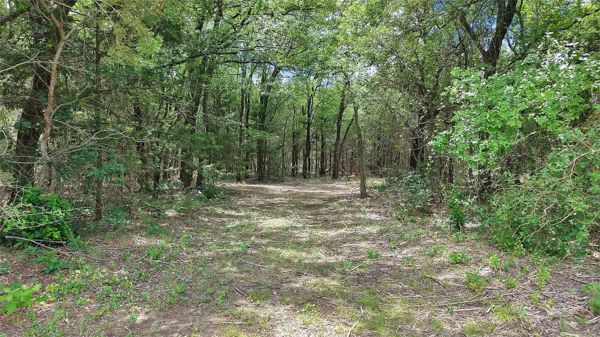 8.62 acres in Ellis County - photo 12