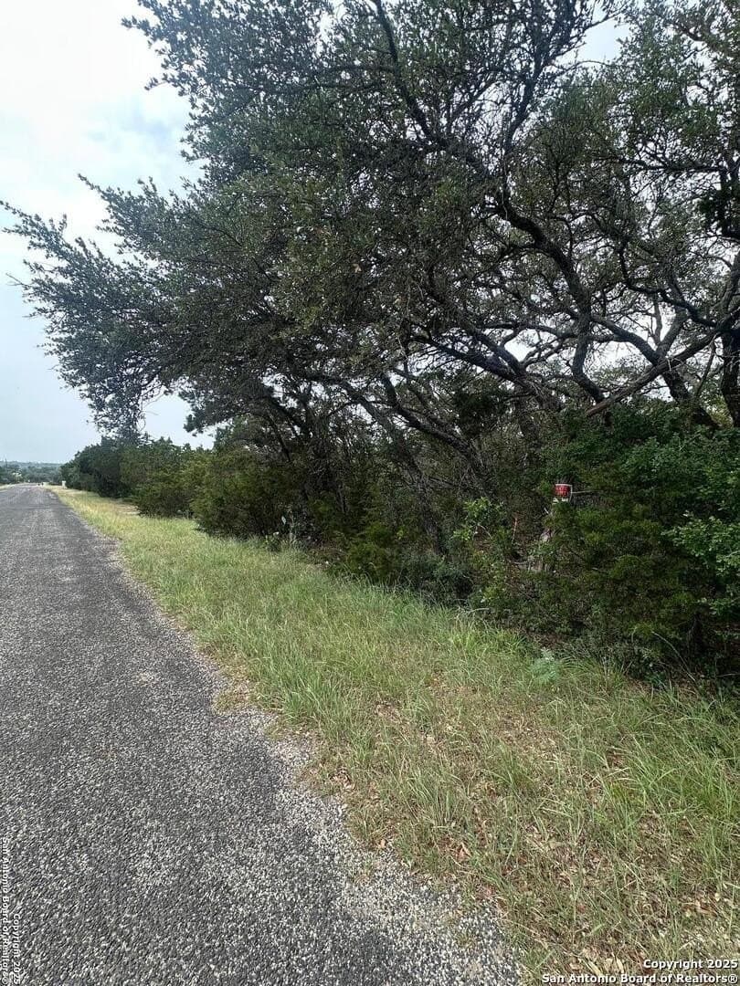 2 acres in Bexar County gallery image 2