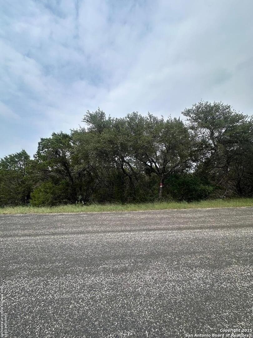 2 acres in Bexar County gallery image 4
