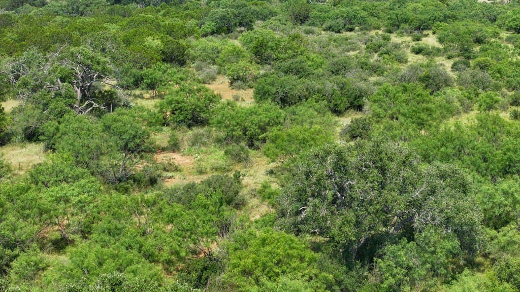 20 acres in Kimble County - photo 18