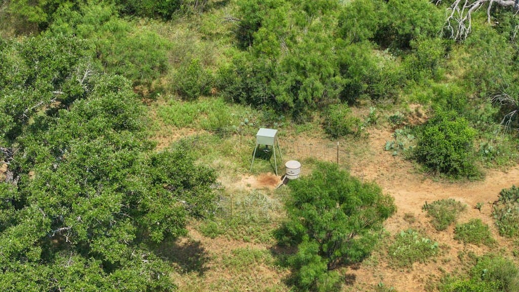 20 acres in Kimble County gallery image 4