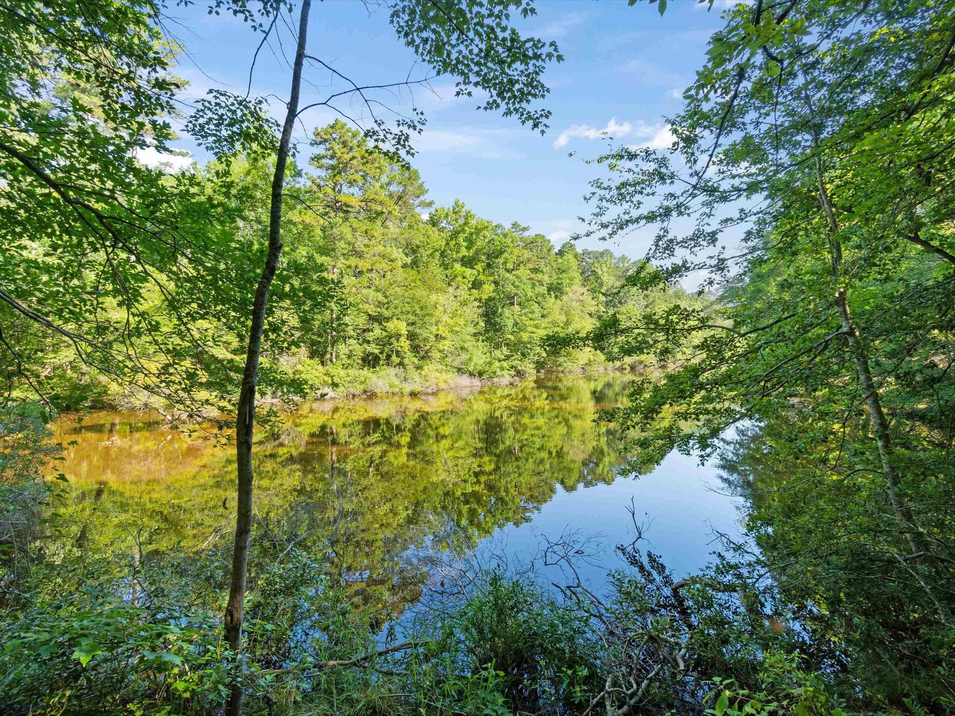 5 acres in Upshur County featured view
