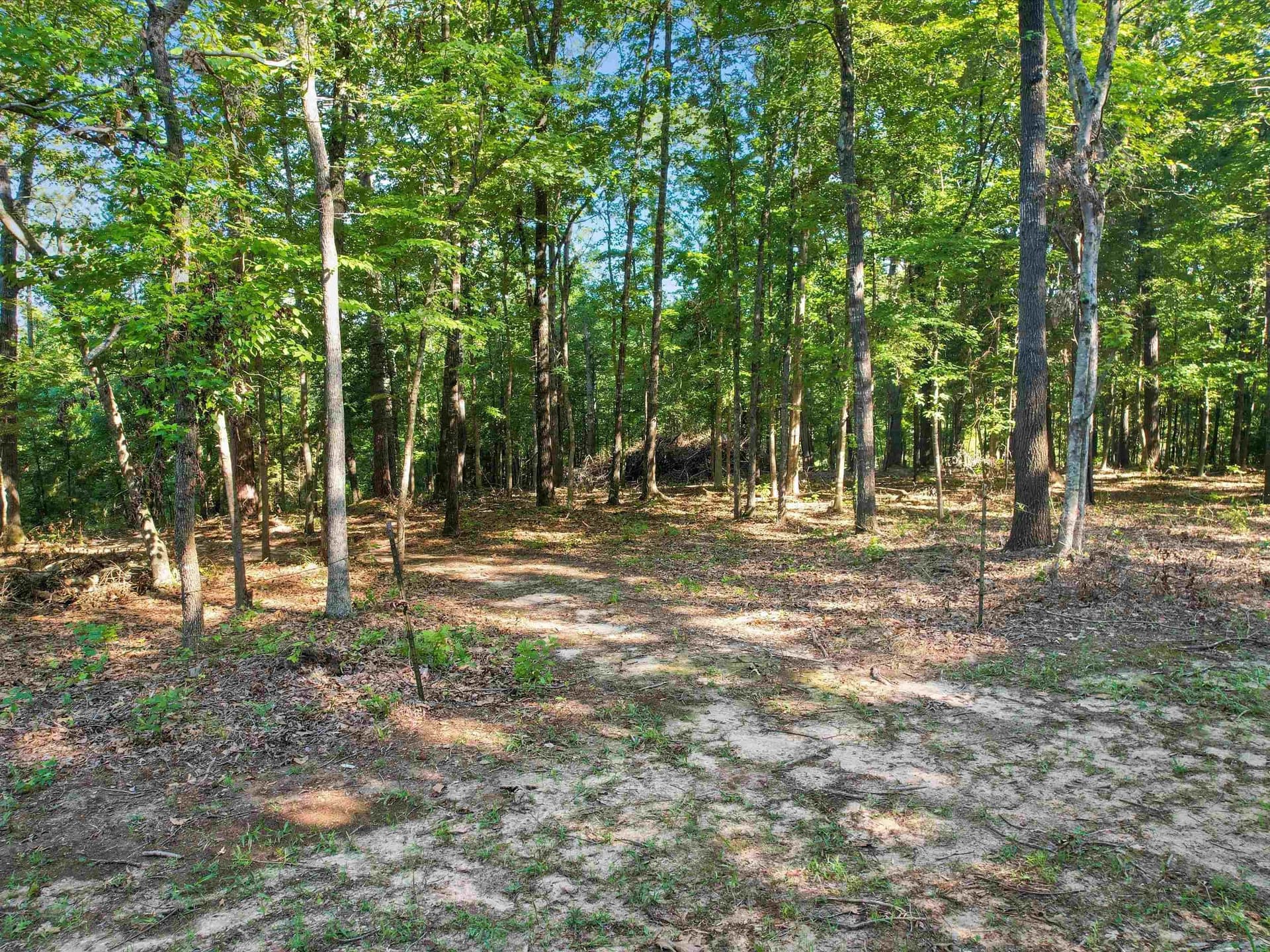 5 acres in Upshur County gallery image 2