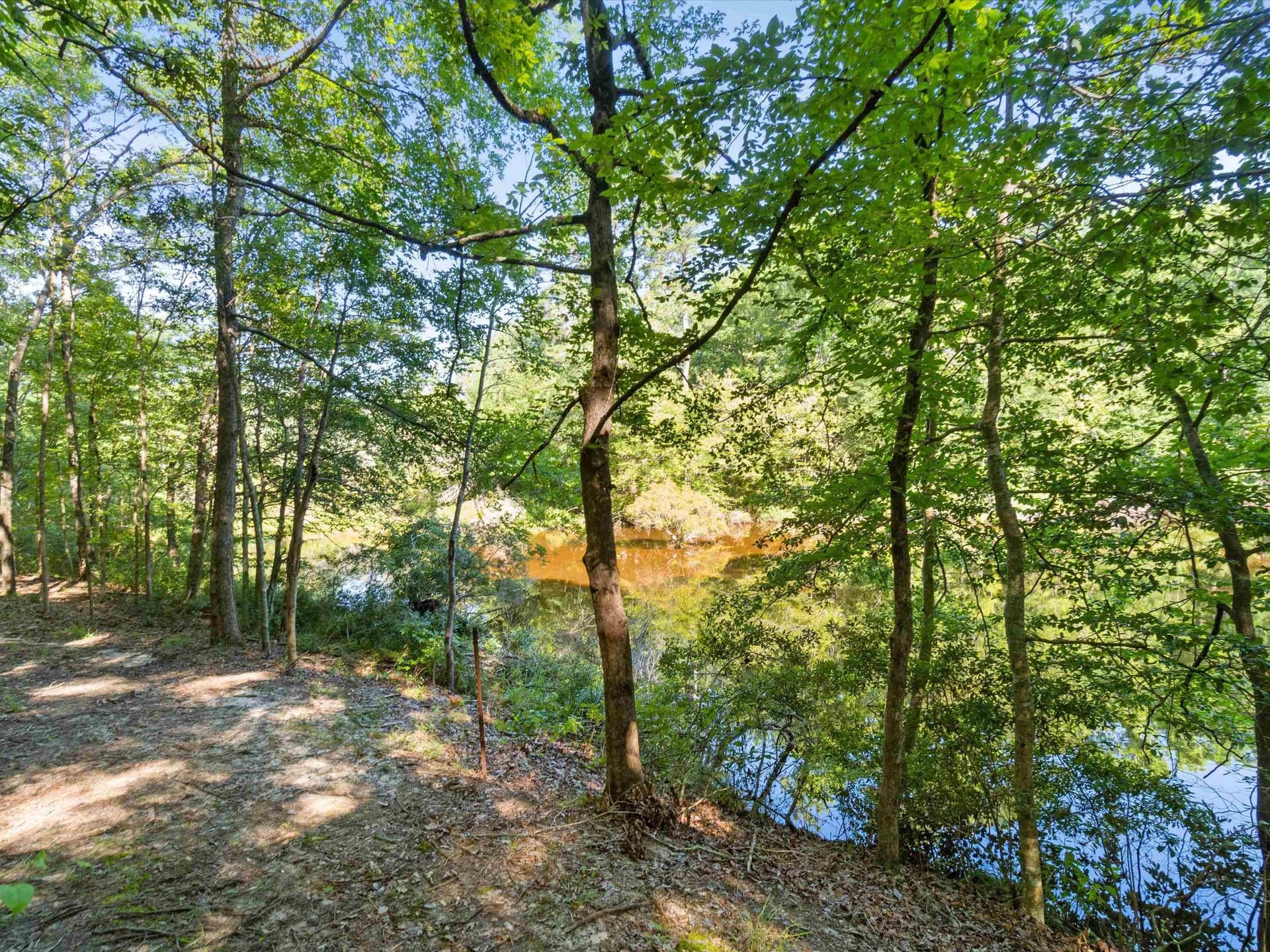 5 acres in Upshur County - photo 6