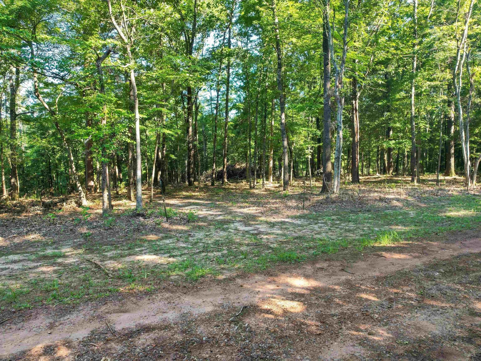 5 acres in Upshur County gallery image 3