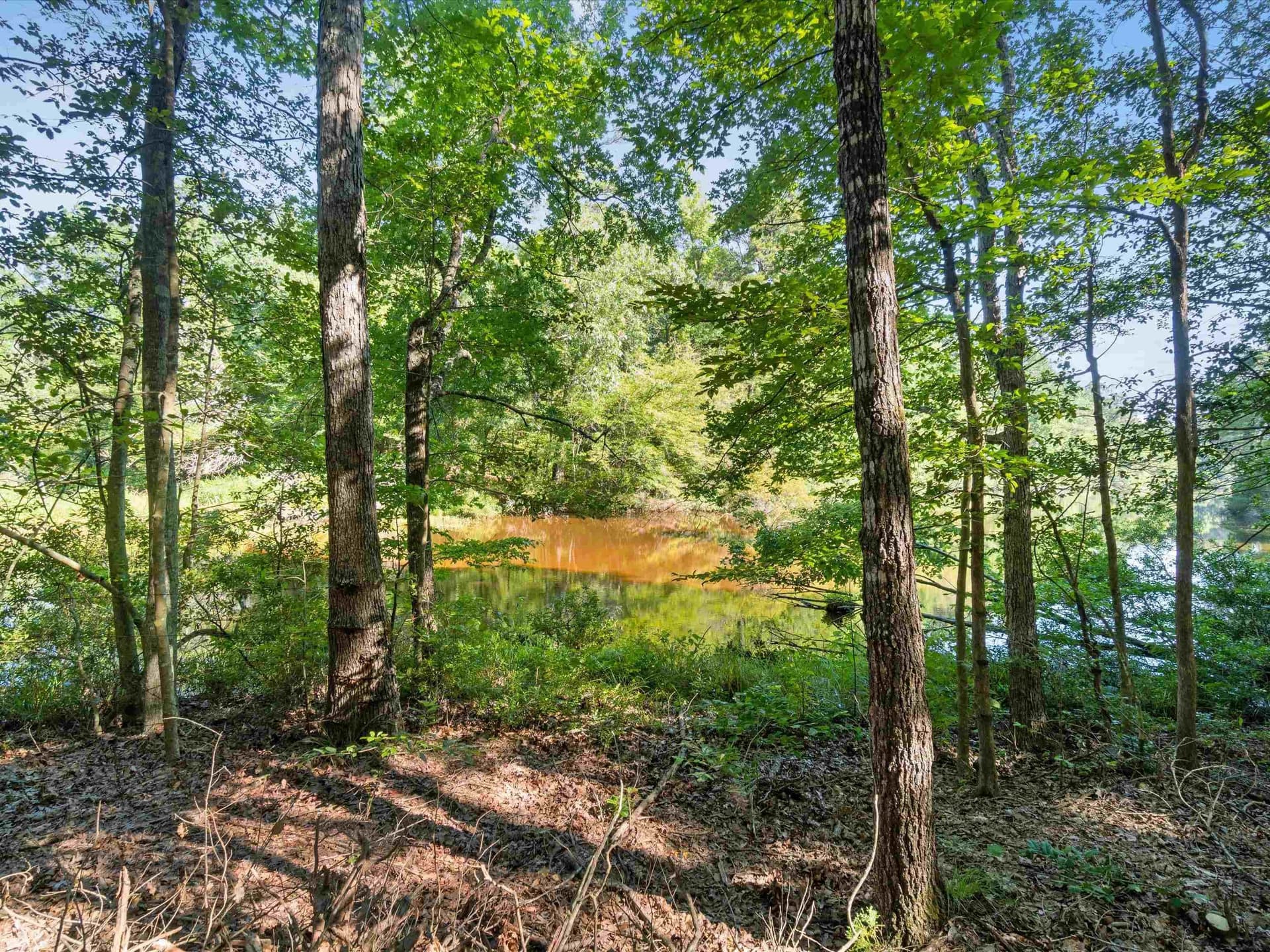5 acres in Upshur County gallery image 4