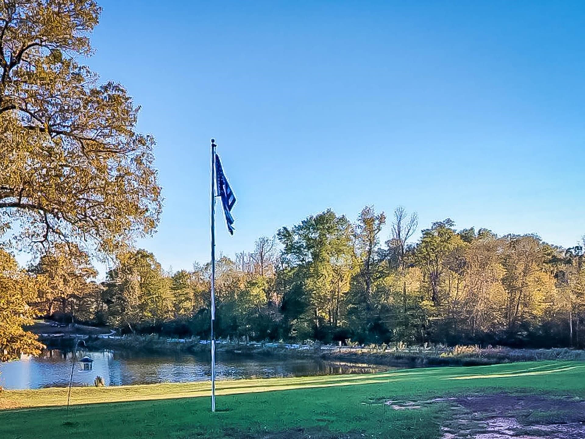 1.51 acres in Upshur County gallery image 4