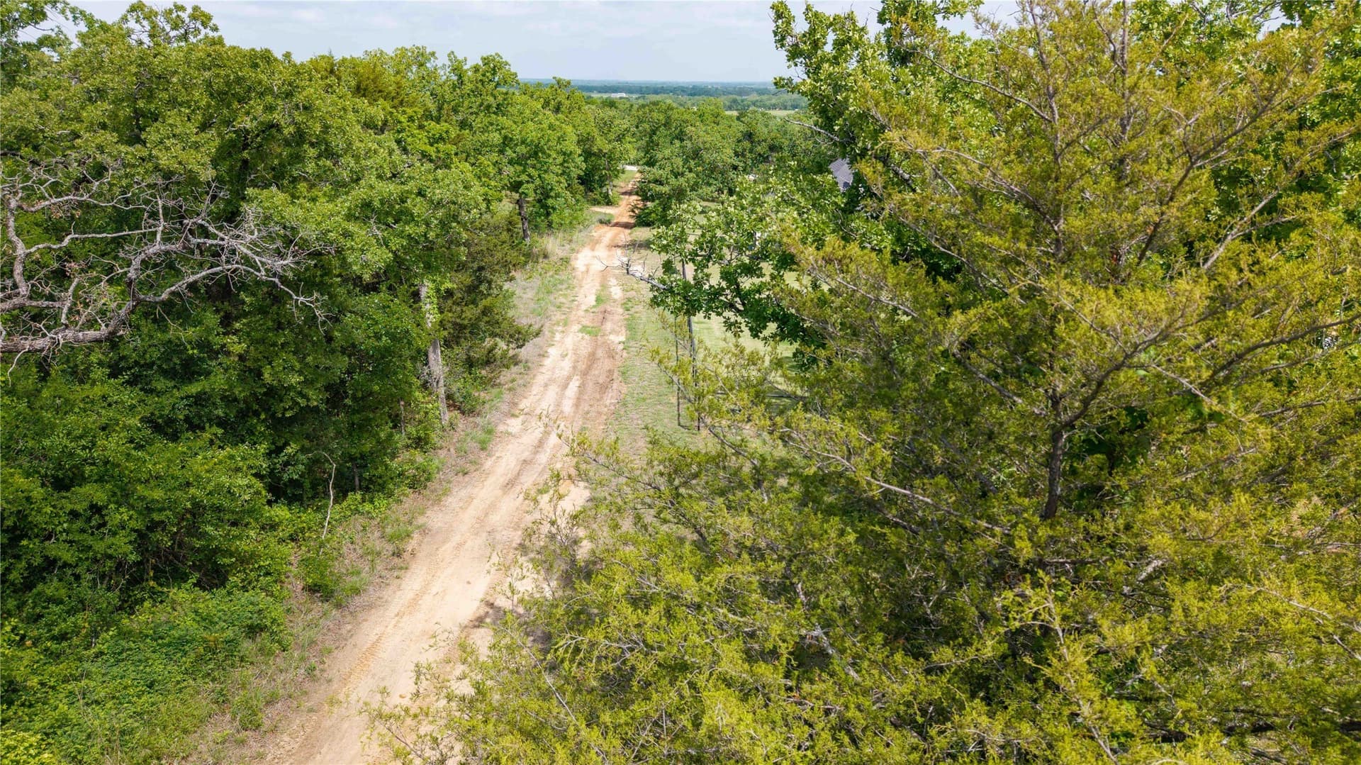 4.81 acres in Wise County gallery image 3